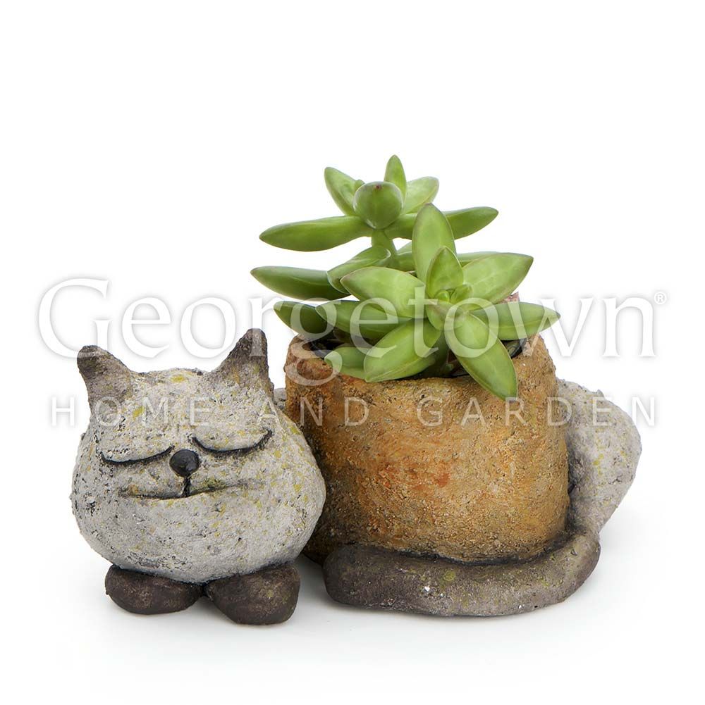 kitty planter pots Sleepy Kitty Cat Planter – GYFTZ