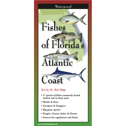 Folding Guide - Fishes of Florida's Atlantic Coast