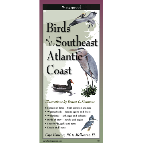 Folding Guide - Birds of the Southeast Atlantic Coast