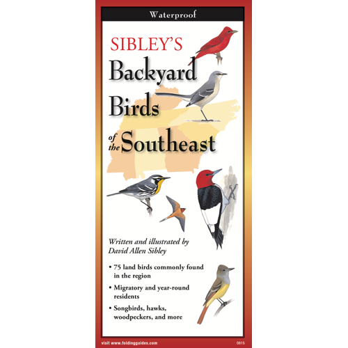 Folding Guide - Backyard Birds of the Southeast