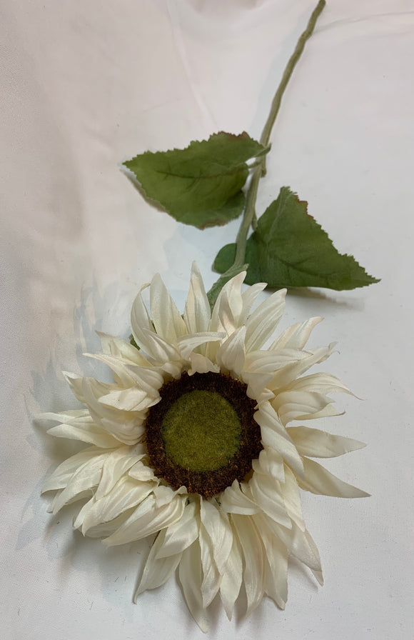 Long Stem Floral - White Sunflower