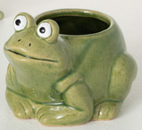 Frog Planter - 2 Sizes Available
