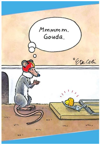 Card - ED/Birthday - Rat Helmet Gouda