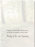 Card - LT/Sympathy - Wooded Path with Sunshine