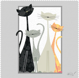 Pictura® Smart Cloths - Assorted Styles Available