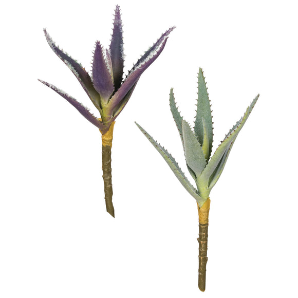 Aloe Succulent Pick - 2 Colors Available
