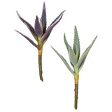 Aloe Succulent Pick - 2 Colors Available
