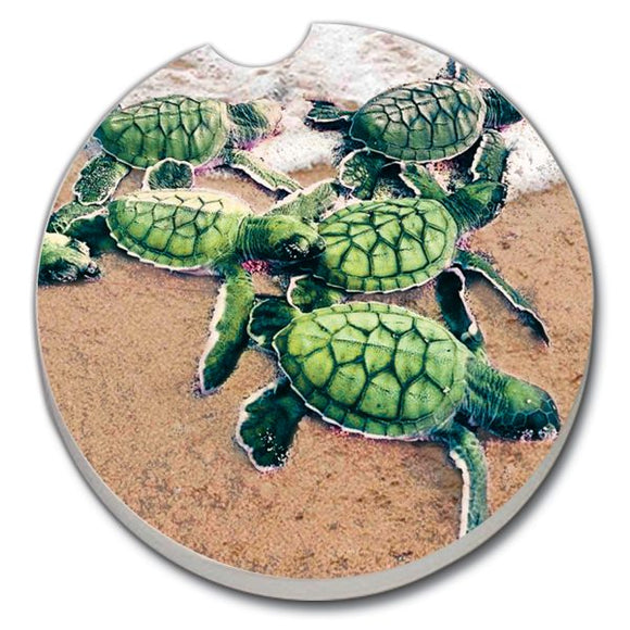 Car Coaster - Baby Sea Turtles