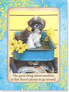 Card - LT/Friendship Card: Just wanted to send a little sunshine your way.