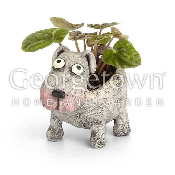 Petunia Dog Planter