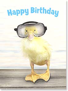 Card - LT/Birthday Card: Dive right in and let the fun begin!