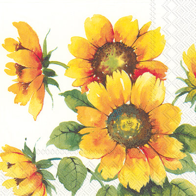 Colourful Sunflowers Cocktail Napkin