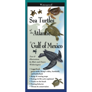 Folding Guide - Sea Turtles of the Atlantic & Gulf of Mexico