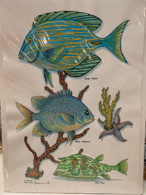 Fish Watercolors - by Bill Johnson