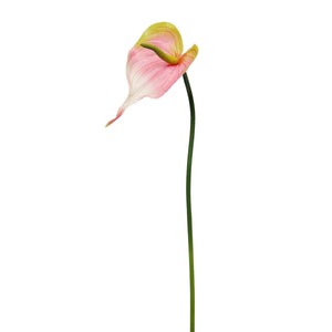 Pink Real Touch Anthurium Small 20"