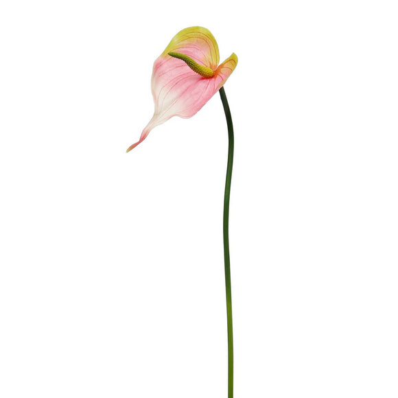 Pink Real Touch Anthurium Small 20