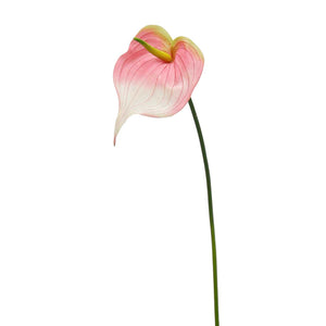 Pink Real Touch Anthurium Large 24.25"