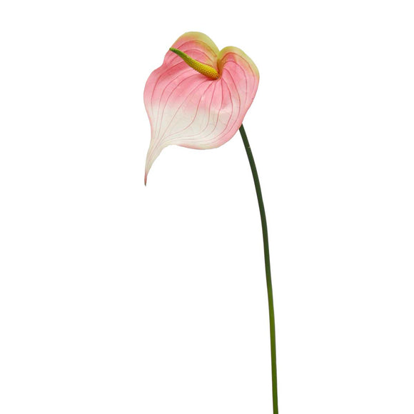 Pink Real Touch Anthurium Large 24.25