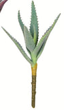 Aloe Succulent Pick - 2 Colors Available