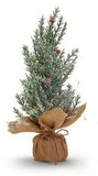 Frosted Evergreen Trees w/Burlap Base - 7 Assorted Designs