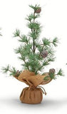 Frosted Evergreen Trees w/Burlap Base - 7 Assorted Designs