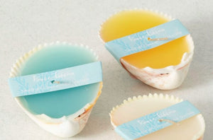 Sea Shell Candle - 3 Assorted (Sold Individually)
