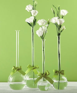 Sleek And Chic Set of 4 Bubble Vases with Sage Green Ribbon