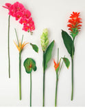 Tropical Stem - 6 Styles Available