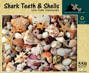 Shark Teeth & Shells - Low Tide Treasures