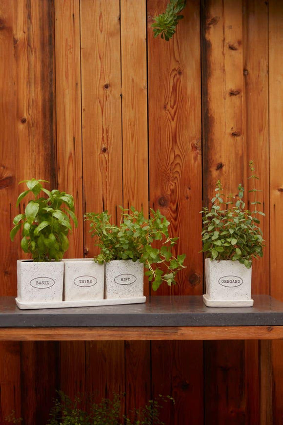 Aroma Collection - Herb Pots and Saucers