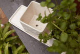 Aroma Collection - Herb Pots and Saucers