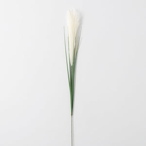 White Reed Grass Stem