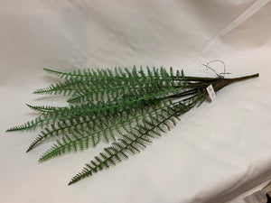 26" Bendable Fern Stem with Roots