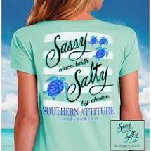 Choice Turtles Seafoam Short Sleeve - Southern Attitude