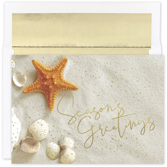 Starfish Greetings Warmest Wishes Boxed Holiday Cards